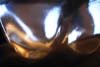 caustics 1